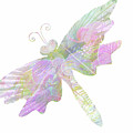 Lady D Fly